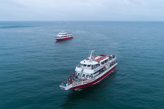 Tour image 6