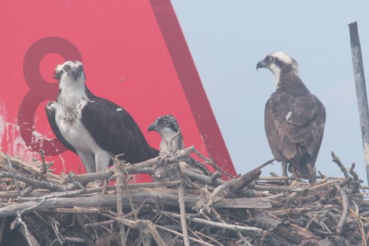 Tour image 1