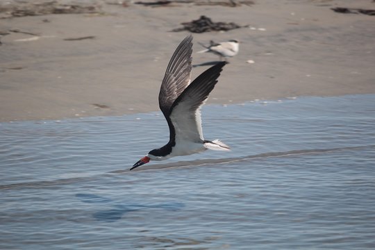 Tour image 2